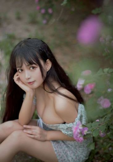 沉香如屑电视剧