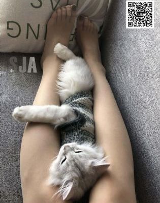 jojo奇妙冒险