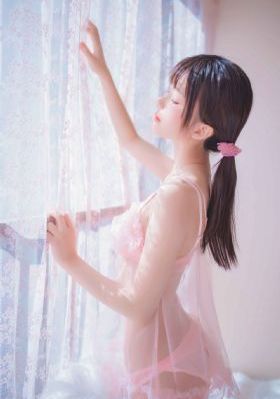 芝加哥警署第十二季