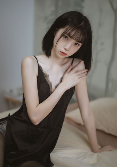 执法者们