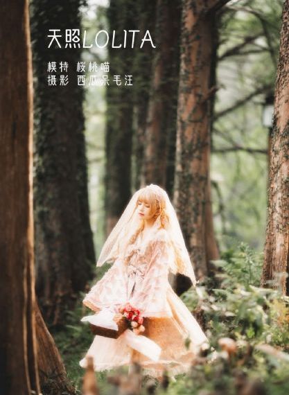 两个人的小森林免费观看36集预告