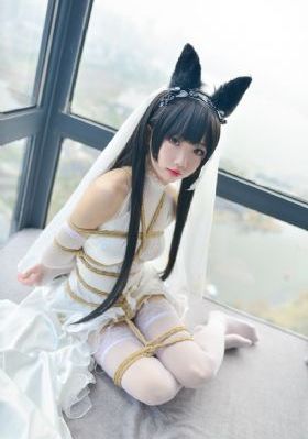 白月梵星电视剧免费观看全集